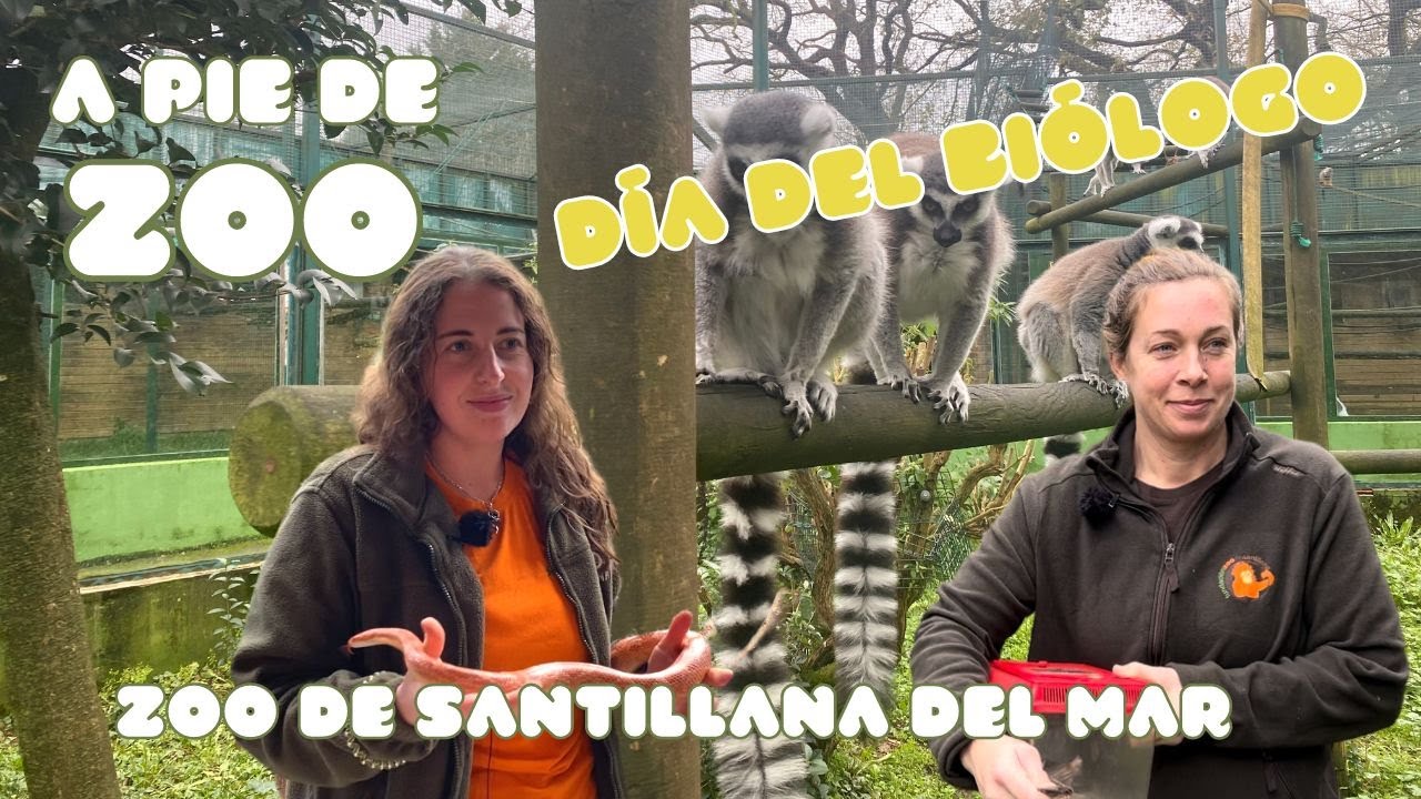 A pie de zoo: Día del Biólogo | Zoo de Santillana