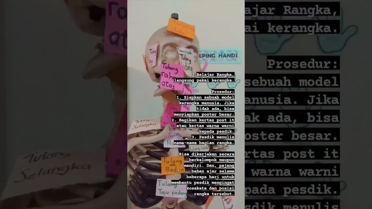 Belajar Rangka dengan Model Kerangka | #short #bahanajar #materiajar #stem #steam