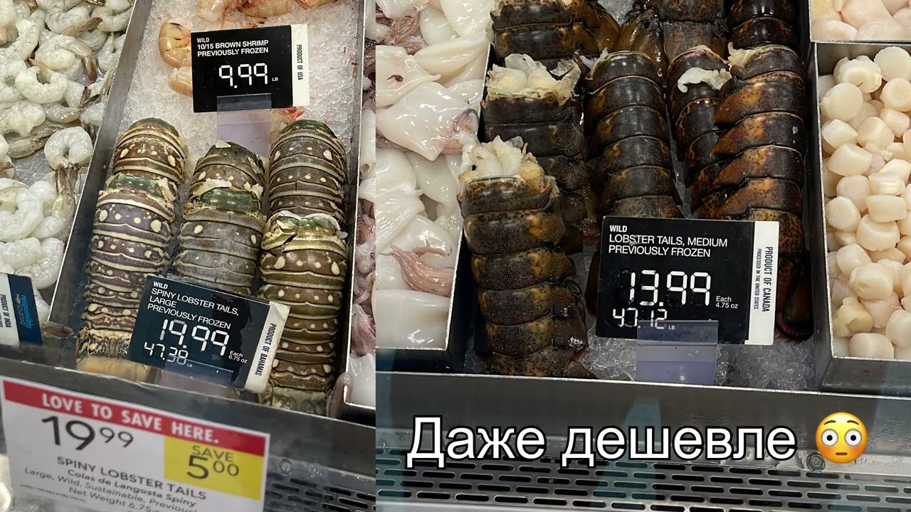 Мой отпуск в Майами. Рассказываю, сколько это стоило.