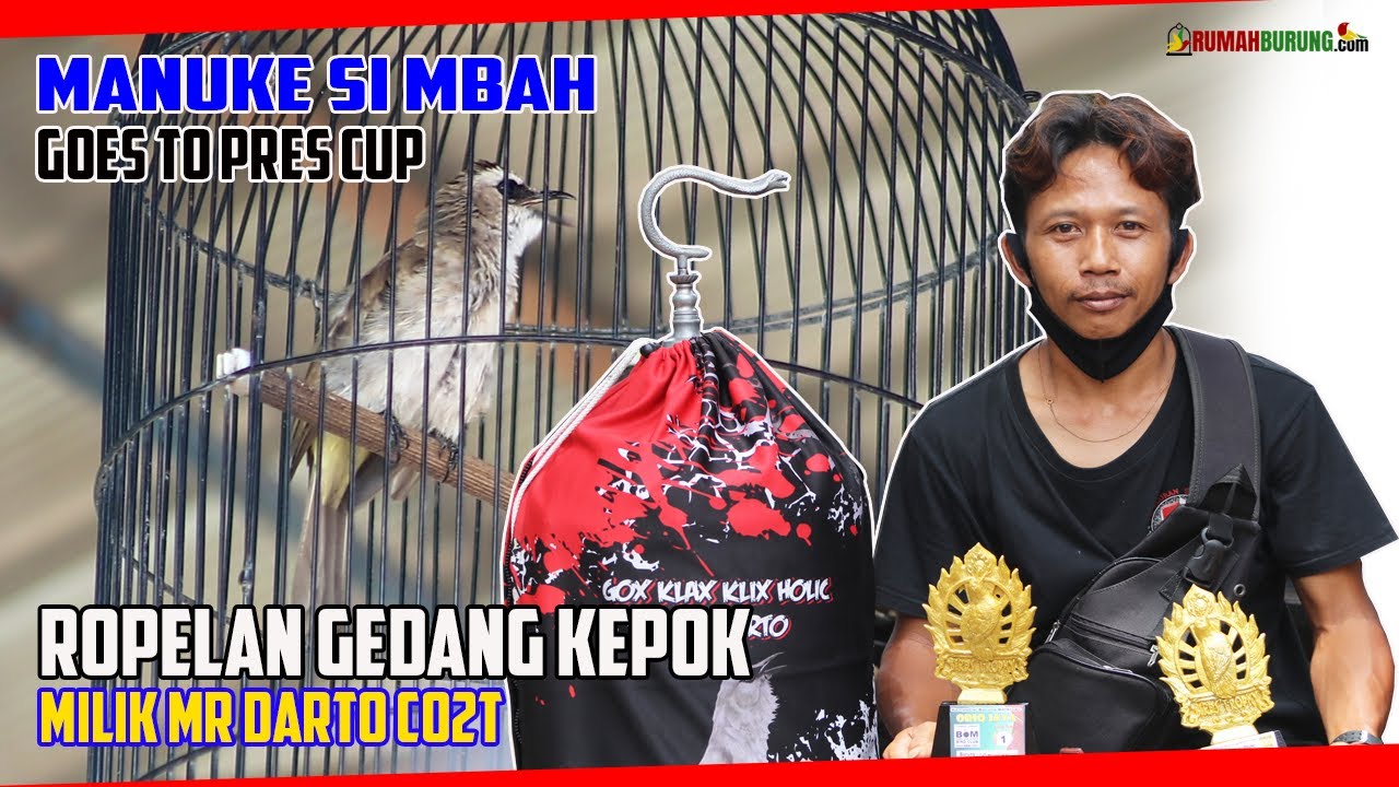 ROPELAN GEDANG KEPOK MILIK MR DARTO CO2T