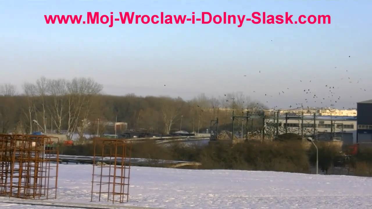 WPO Alba we Wrocławiu ulica Szczecińska