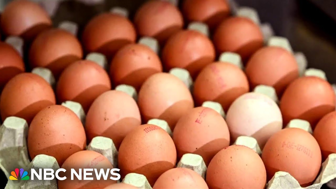 Nationwide egg shortage ahead of Thanksgiving  