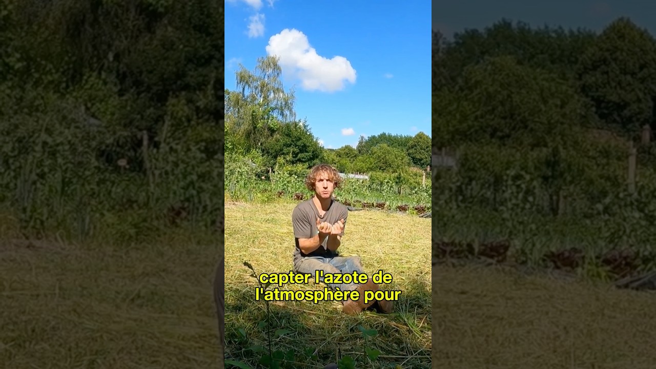 #26 : Semer des engrais verts - L&eacute;o Drevet Permaculture #gardening