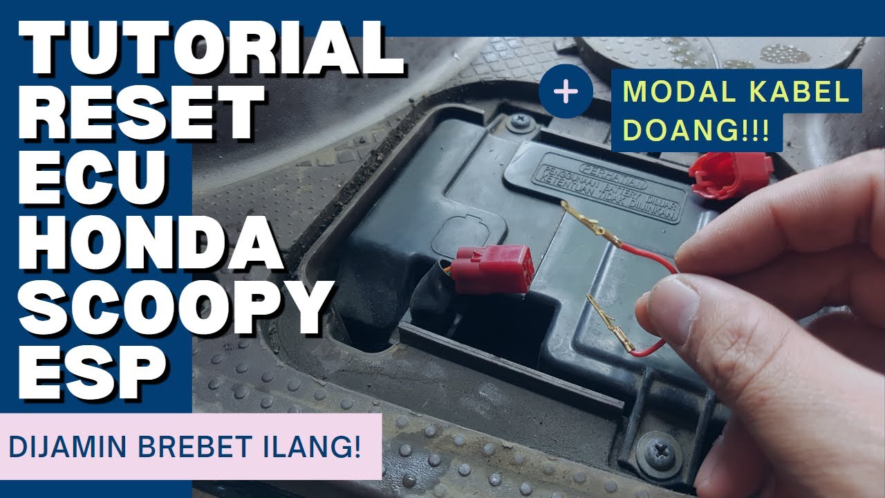 TUTORIAL RESET ECU HONDA SCOOPY ESP | BREBET ILANG!!