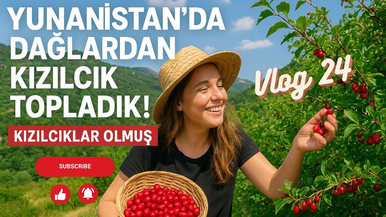 Doğanın Kalbinde Kızılcık Hasadı! | Yunanistan Kırsalında Bir Gün - 24