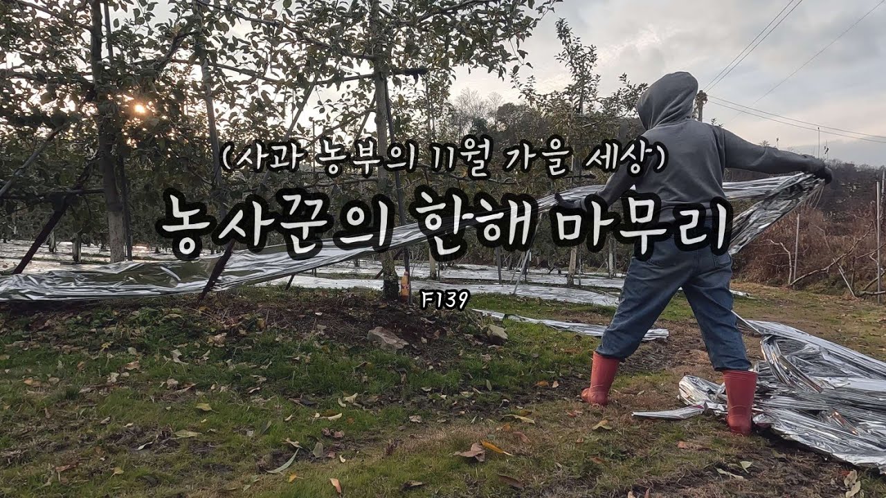 ф수확은 끝났지만 쉬기까지는ㅣF139ㅣ농부의 정리정돈