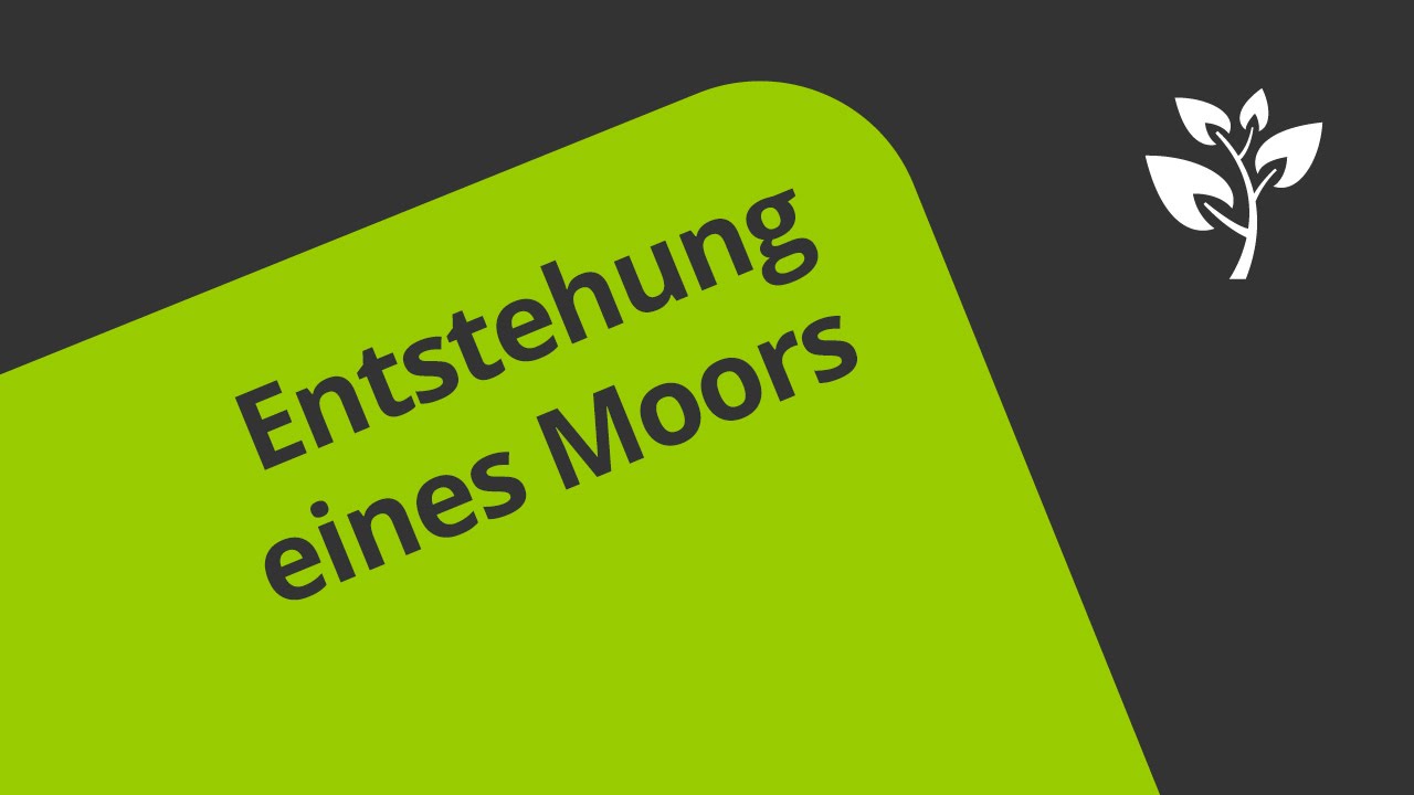 Das nat&uuml;rliche &Ouml;kosystem des Moors | Biologie | &Ouml;kologie