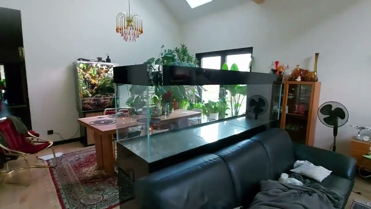 Zestawy z Sea Garden morskie i słodkowodne
