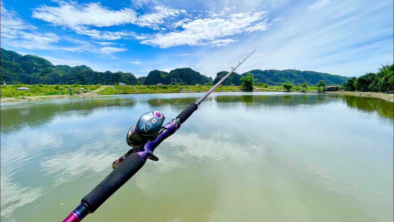 TRẢI NIỆM CẦN LURE DAIWA HEARTLAND LẦN 2 tại hồ Lure Vân Long-Ninh Bình #câulure #fishing #xuhuong