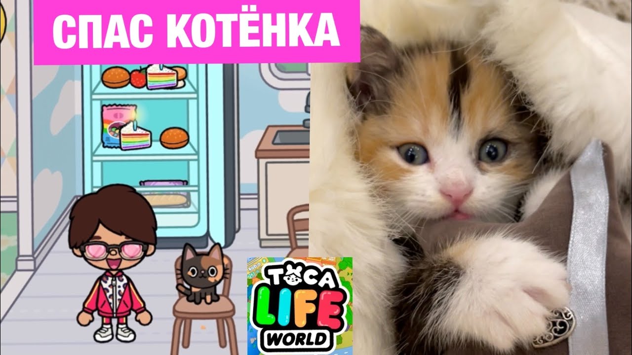 Кот СПАС Маленького КОТЁНКА с УЛИЦЫ и ПОСТРОИЛ ЕМУ НОВЫЙ ТОКА-ДОМ 😿🏡💕 Toca Life World