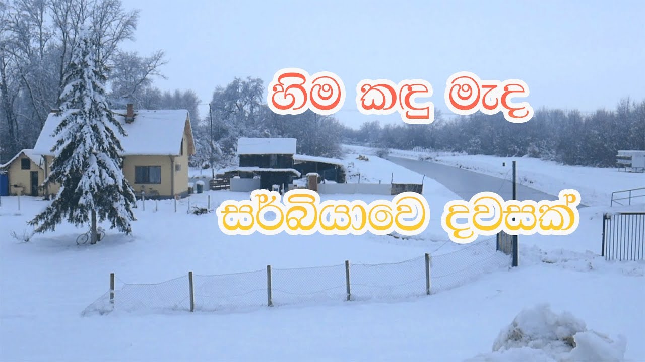 නිවාඩු දවසක සර්බියා අහස යට