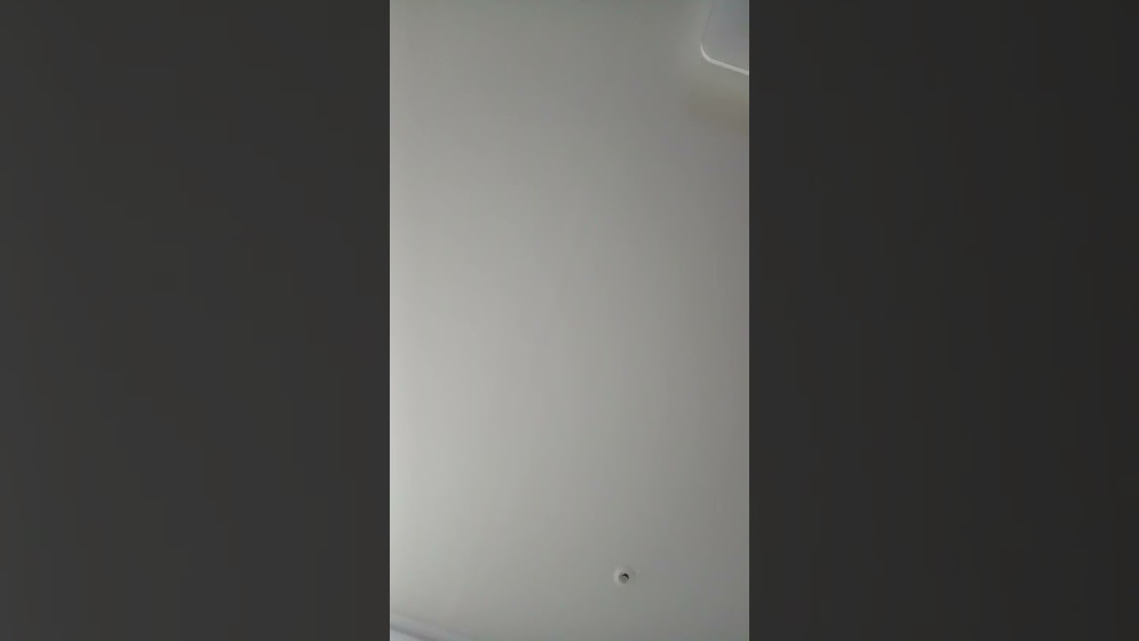 갯바위  - 양하영