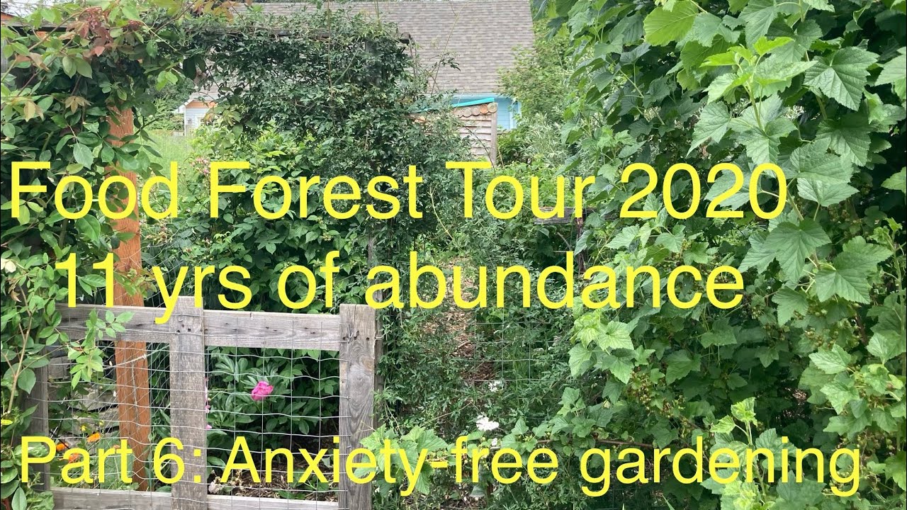 Anxiety-free garden design from zones and sun traps to seaberries and persimmons