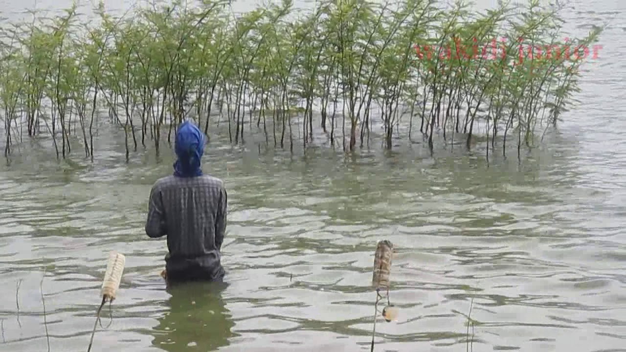 deti detik tarikan ikan waduk delingan