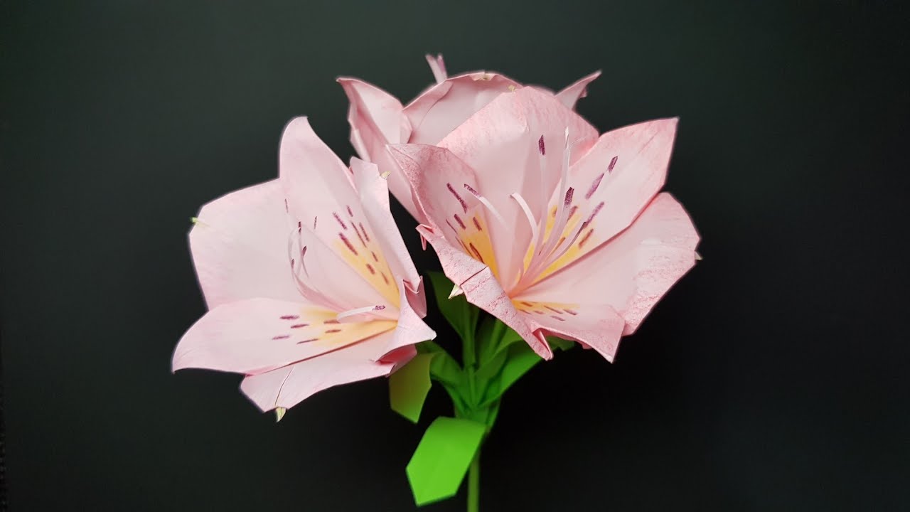 알스트로에메리아접기 - Paper Alstroemeria - 꽃접기 ( flower )- paper folding - 종이접기 折纸 origami оригами أوريغامي