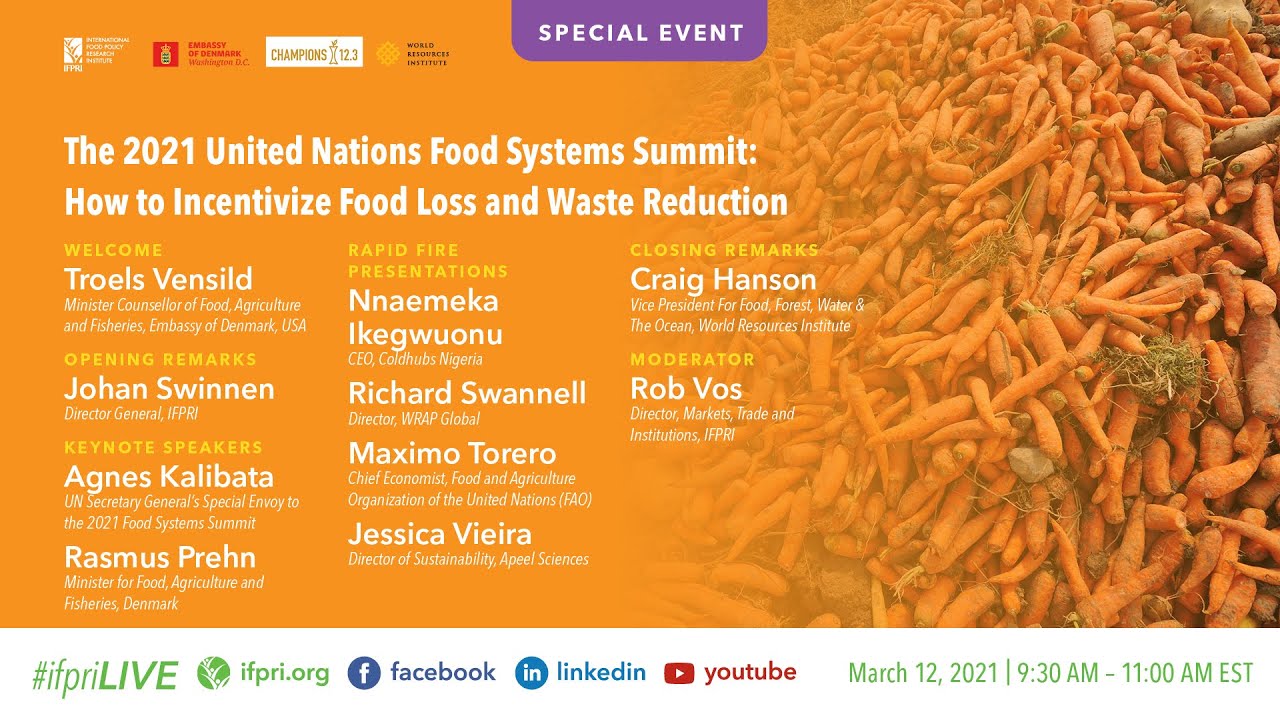 The UN Food Systems Summit: How to Incentivize Food Loss and Waste Reduction?