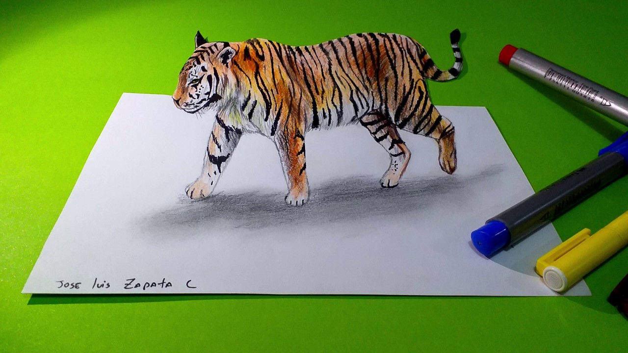 Dibujo 3D de un tigre | 3D drawing of a tiger