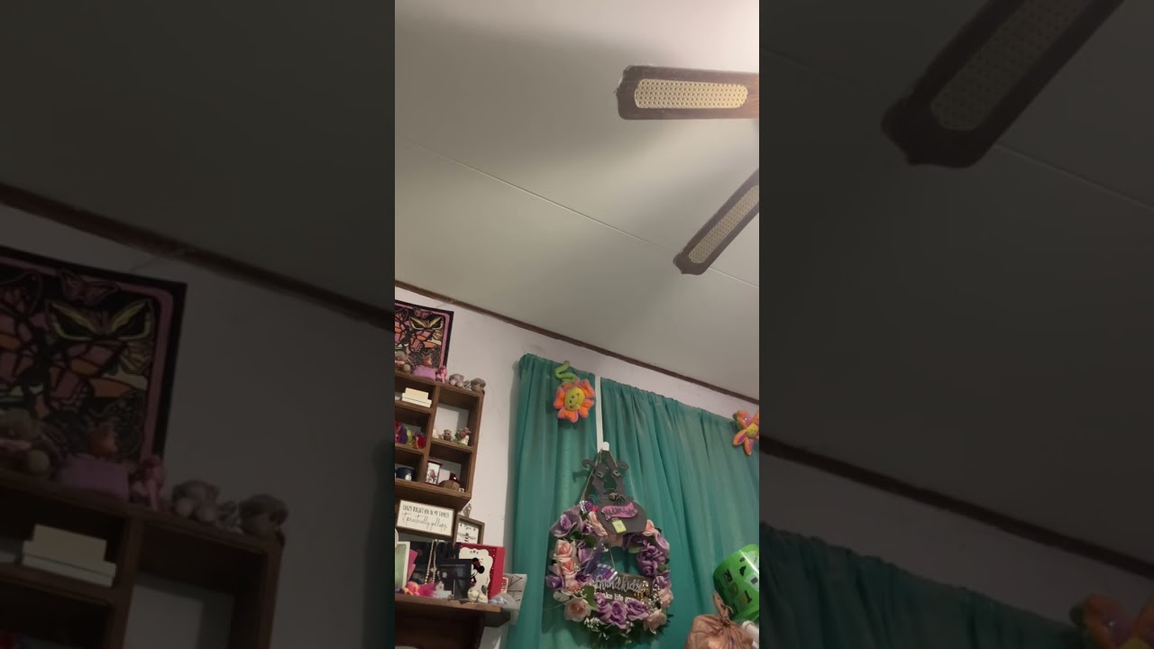 Celine’s  big fall !￼￼