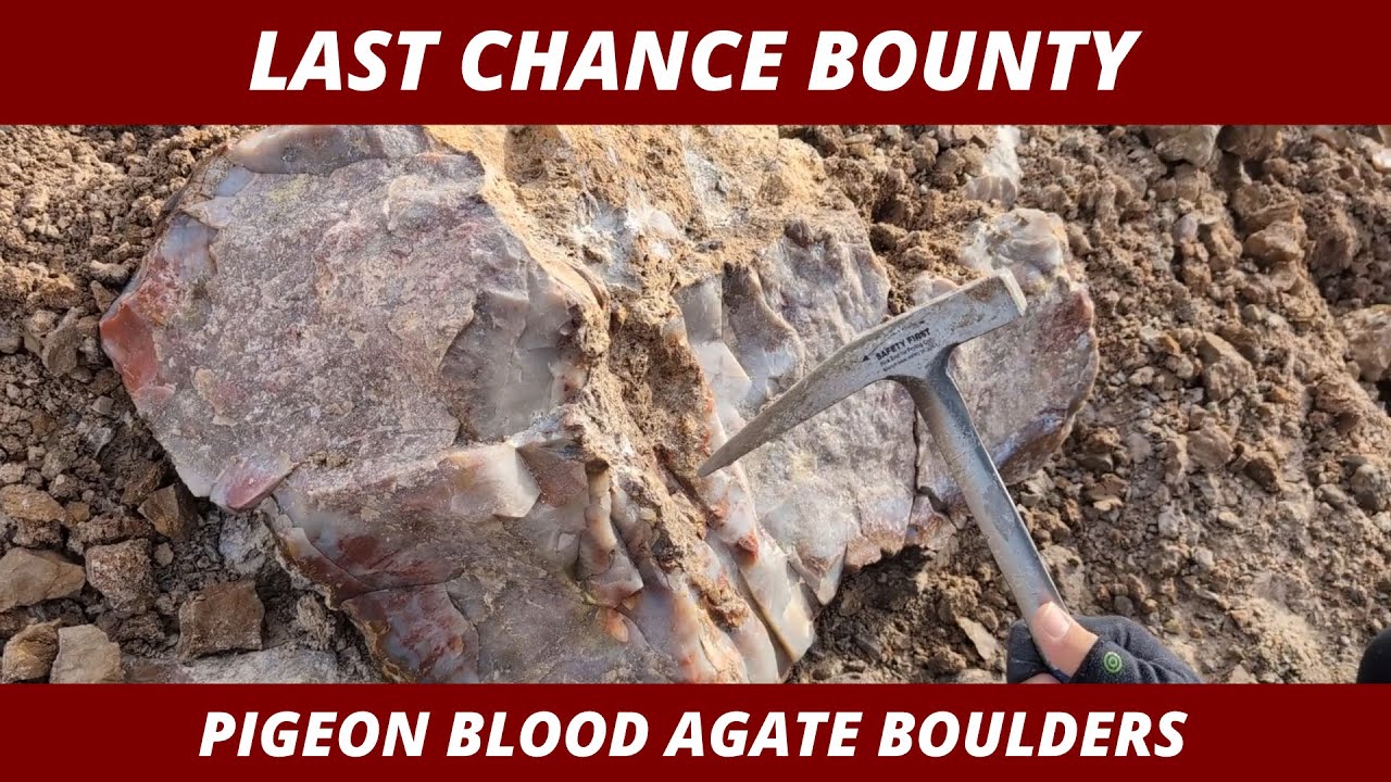 Last Chance: Pigeon Blood Agate - Dec 29, 2024