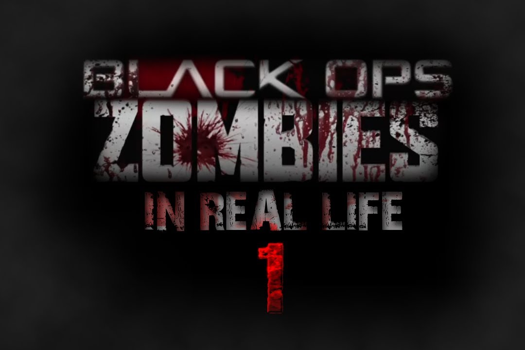 Call of Duty Zombies In Real Life 1
