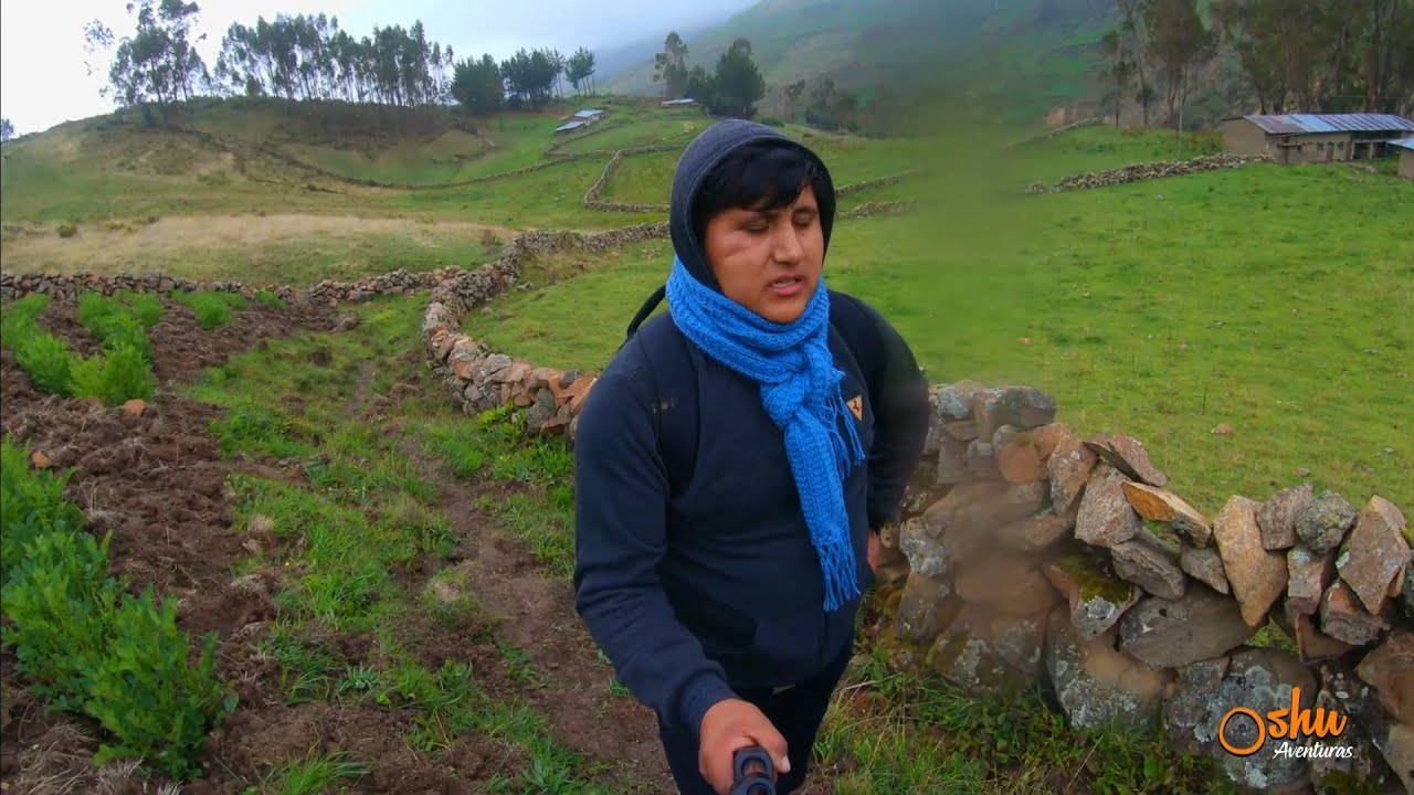 Experiencias al caminar por la Sierra 🌄 Peruana (Cochas Paca)