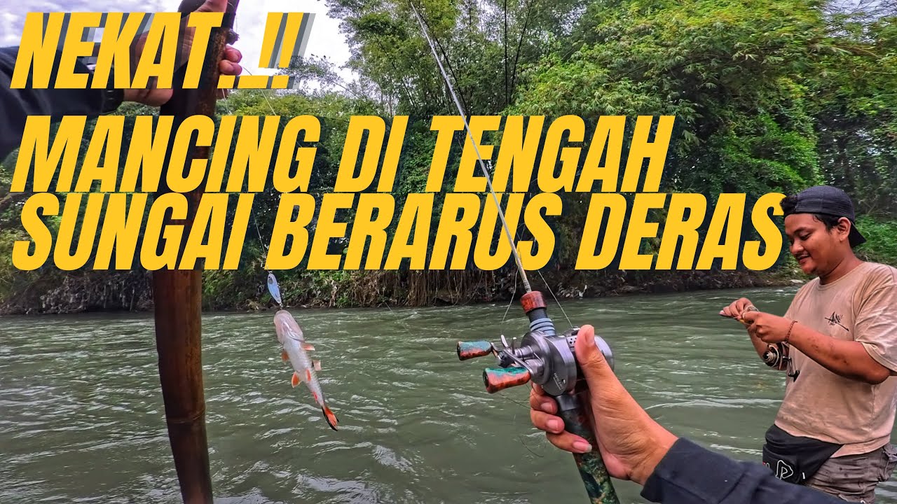 GAK RUGI NEKAT MANCING DI TENGAH SUNGAI BERARUS KUAT‼️IKANNYA NGUMPUL SEMUA DISITU😱🔥