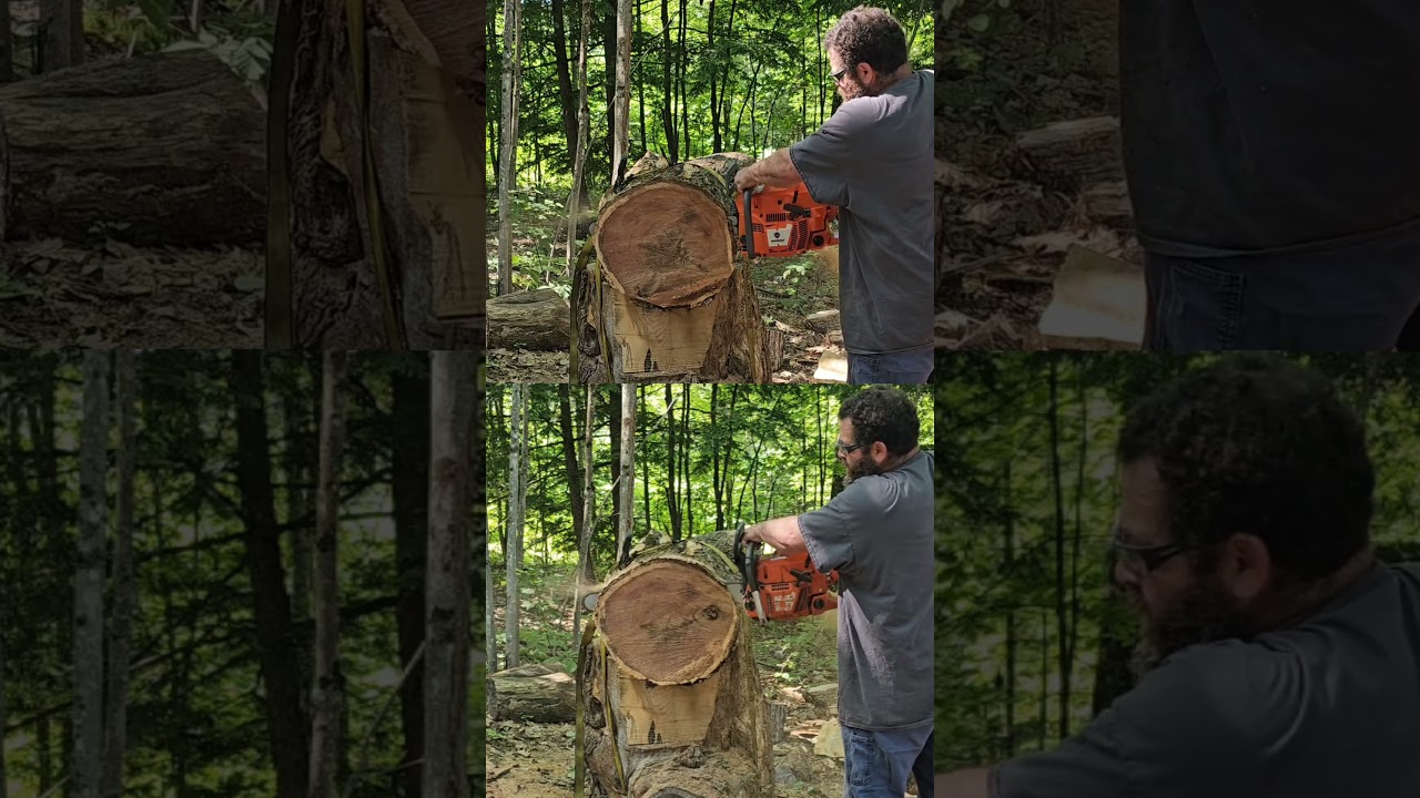 Husqvarna 372xp vs Holzfforma G395xp chainsaw #power #speed #comparison