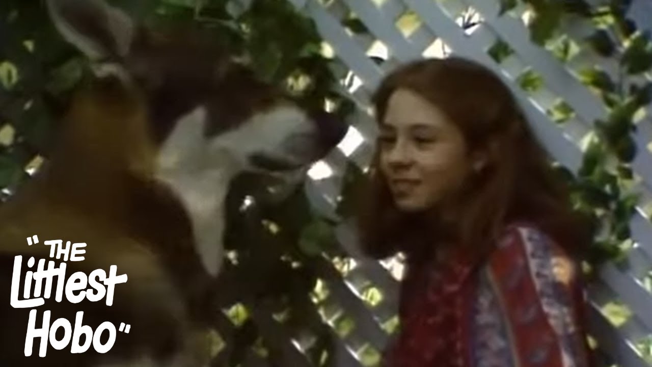 Hidden Room | The Littlest Hobo | Season 3 | Episode 8