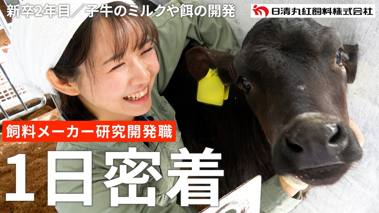 【日清丸紅飼料】研究開発職2年目に1日密着