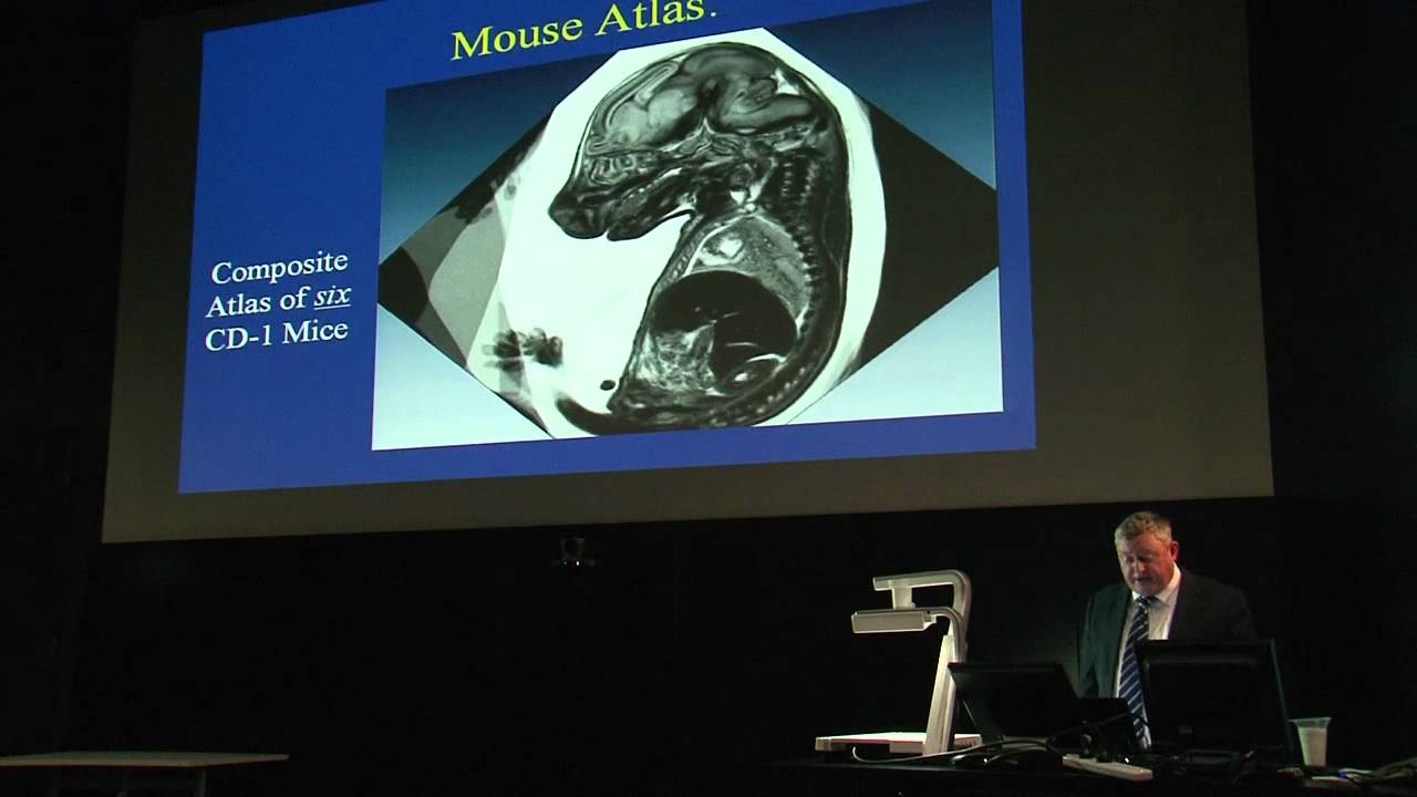 Professor Roger Ordidge - Biomedical Imaging Using MRI
