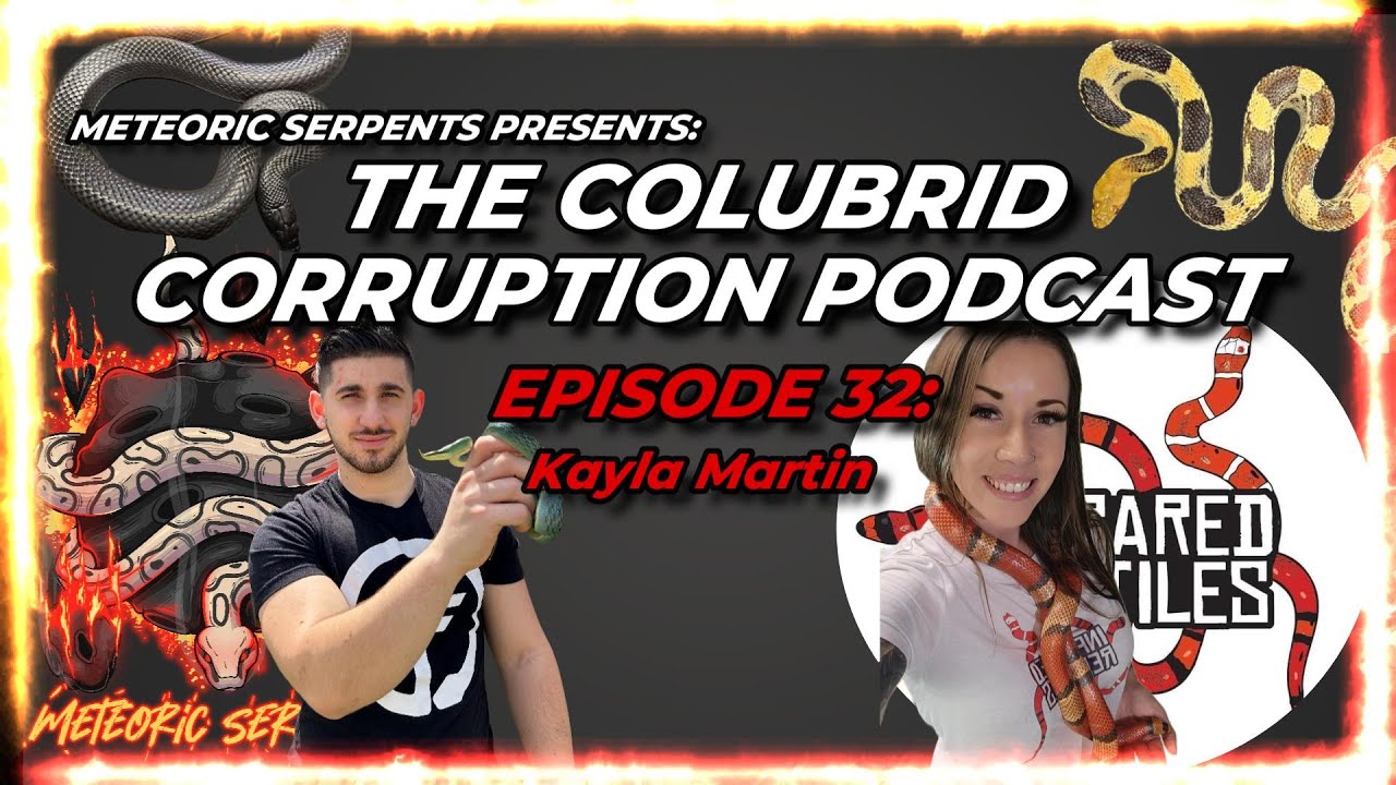 Honduran Milk Snakes & African Oddities w/ Kayla Martin | The Colubrid Corruption Podcast | Ep. 32