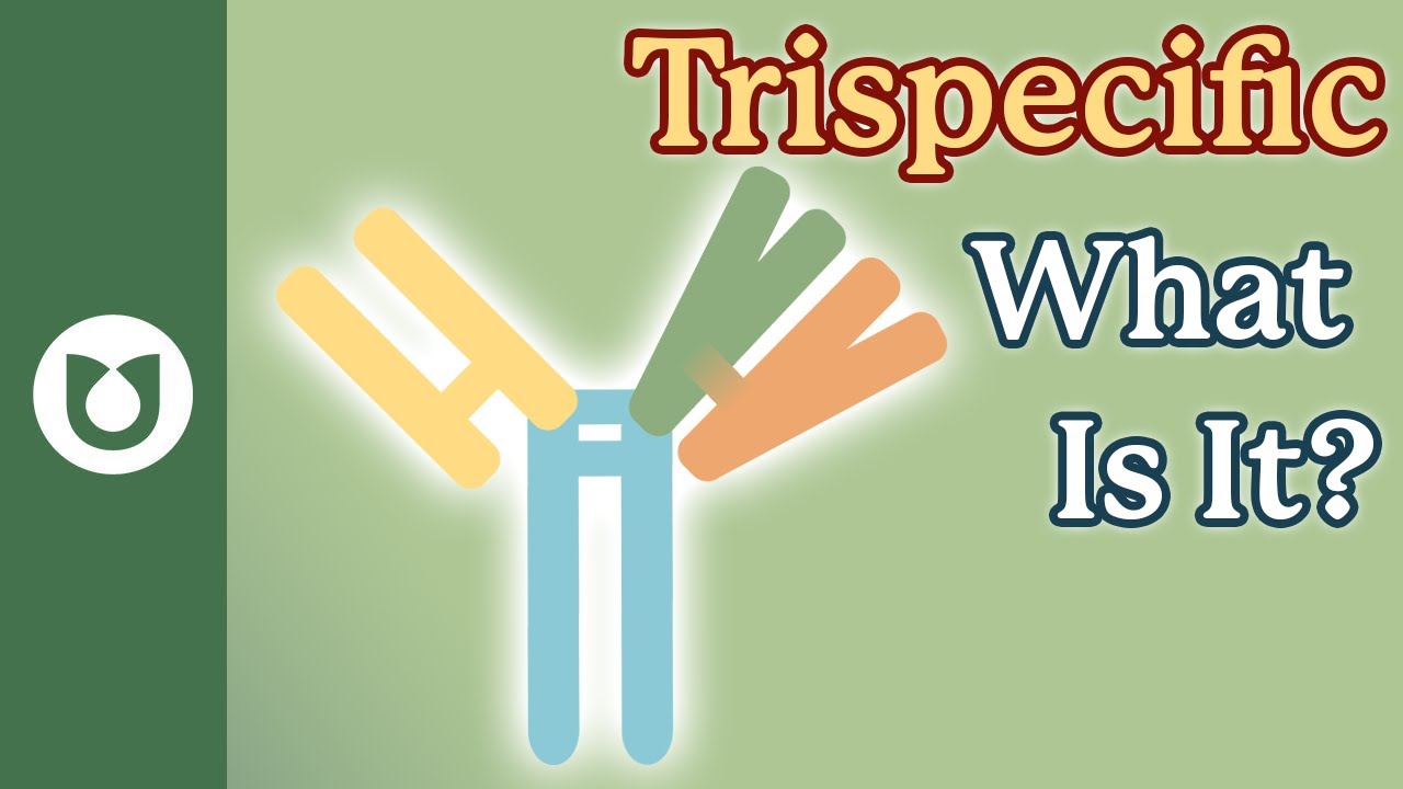 What are Trispecific antibodies?