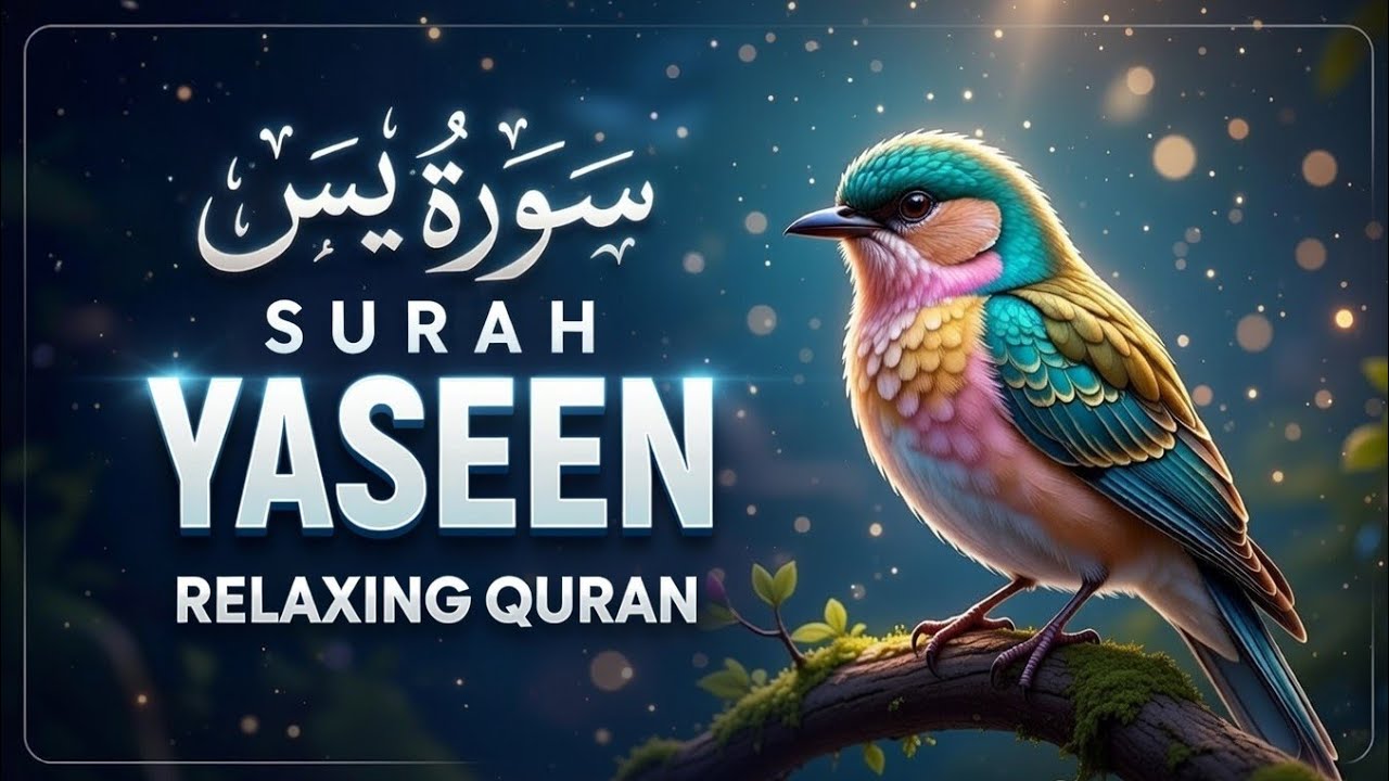 Relax with Surah Yasin Lofi |Calm Soul & Deep Rest | Surat Yasin Menenangkan Jiwa & Istirahat Tenang