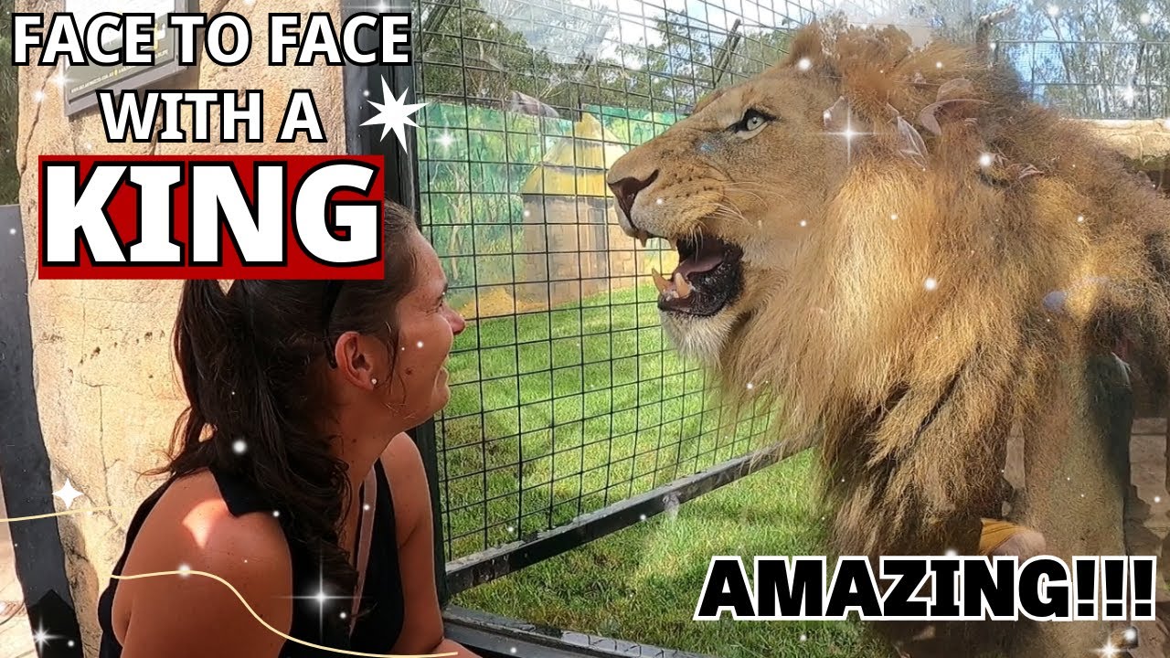 Billabong Zoo - Port Macquarie NSW