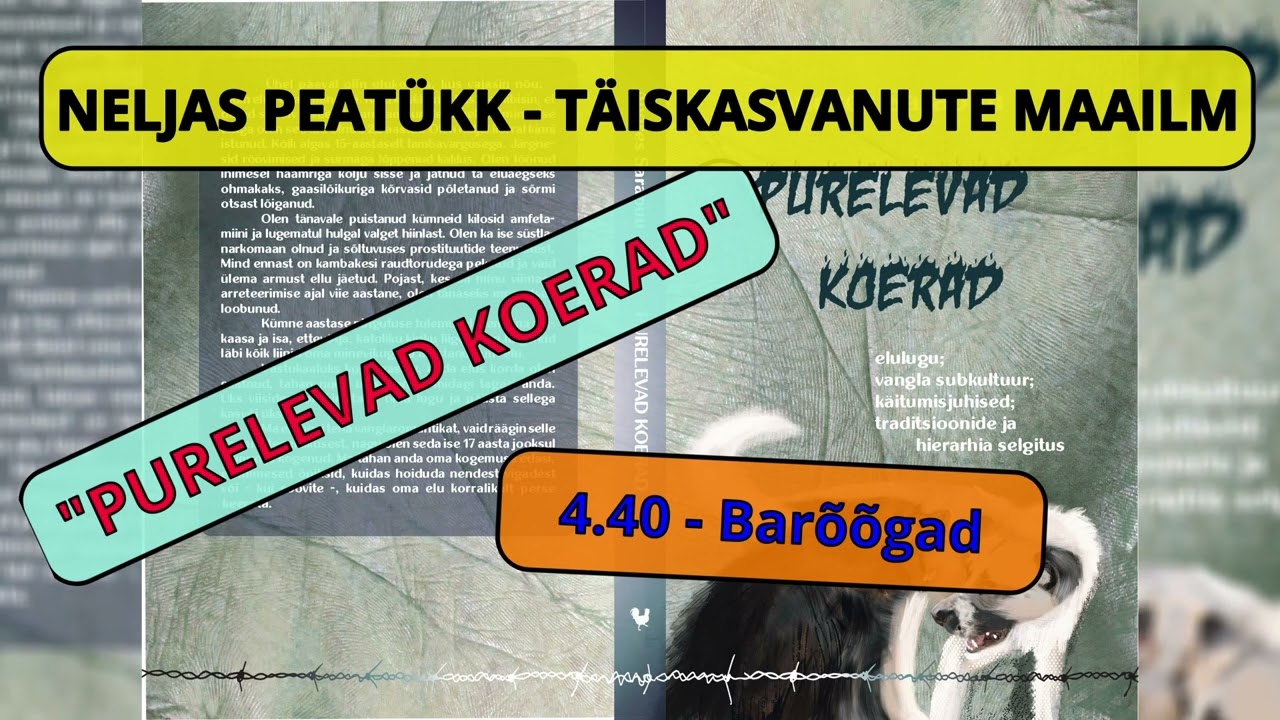 4.40 - Bar&otilde;&otilde;gad - Audioraamat