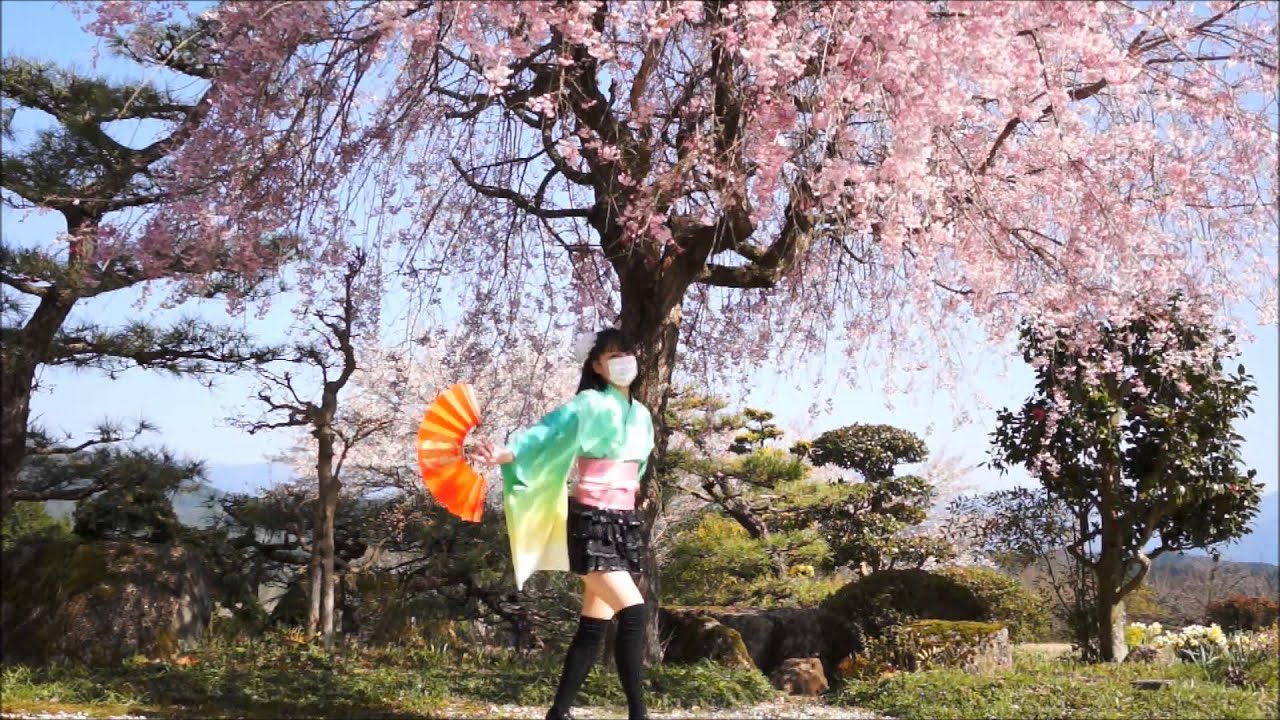【舞々】　千本桜　【踊ってみた】