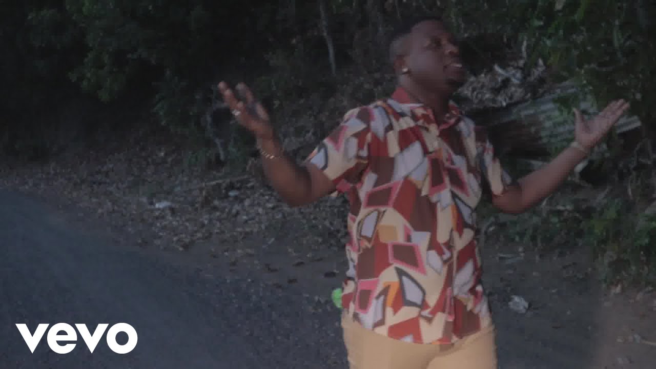 Bralcade, Quilede - wilderness (Official Music Video)