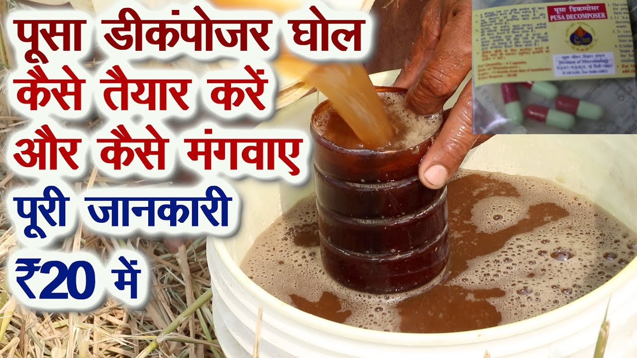 ₹20 का पूसा डीकंपोजर ऑर्गेनिक खेती और केमिकल दोनों में लाभकारी, ऐसे मंगवाए PUSA Dcomposer