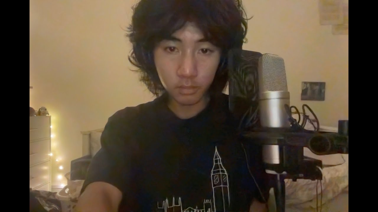 let the light in - lana del rey, father john misty (cover)
