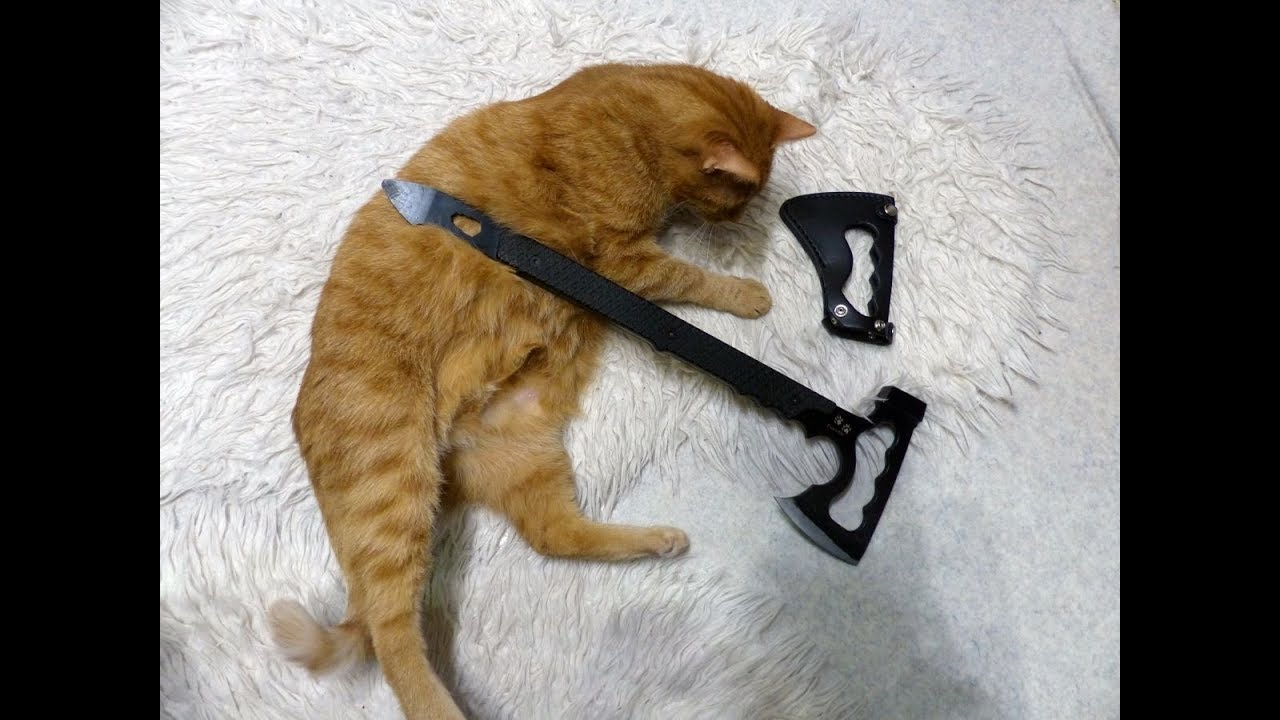 HX OUTDOORS (Crocodile) Multifunctional Survival Hammer Axe TEST