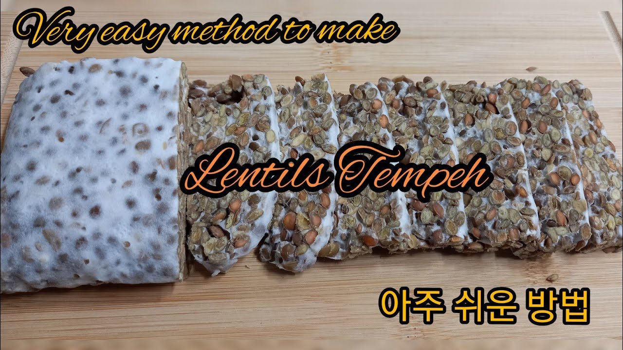 렌틸콩 템페 만들기/ How to make Lentils Tempeh
