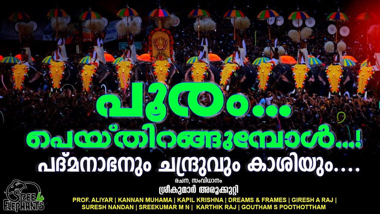 കണ്ണിനും കാതിനും മനസ്സിനും രാഗ-താള-ദൃശ്യ-വർണ്ണ വിസ്മയമായി തൃശൂർ പൂരം | Thrissur Pooram 2022