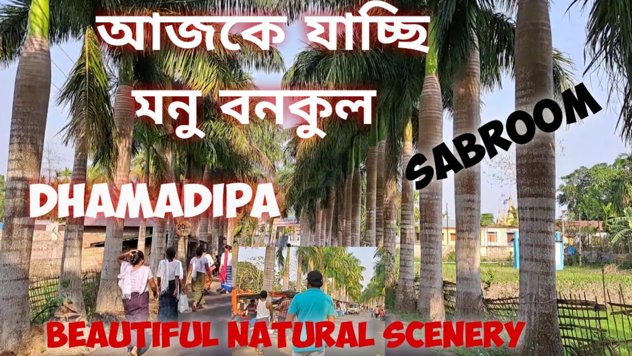 Manu Bankul , Sabroom, Dhamadipa | আজকে ঘুরলাম মনু বনকুল | Beautiful natural green Scenery, Tripura