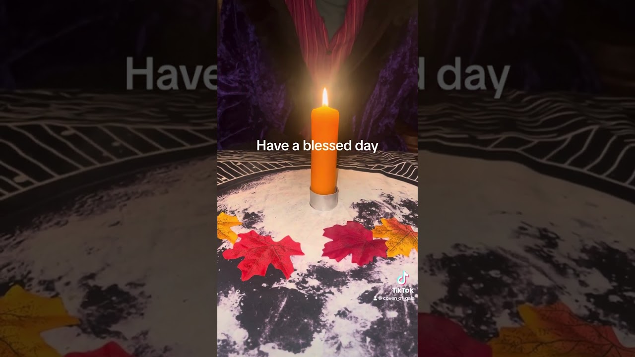Have a blessed day