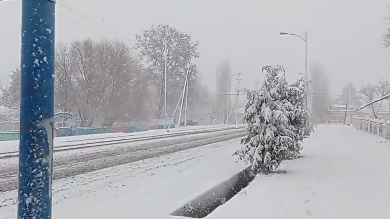   Кор Расулов  Пролетарск 18 12 2025 й 