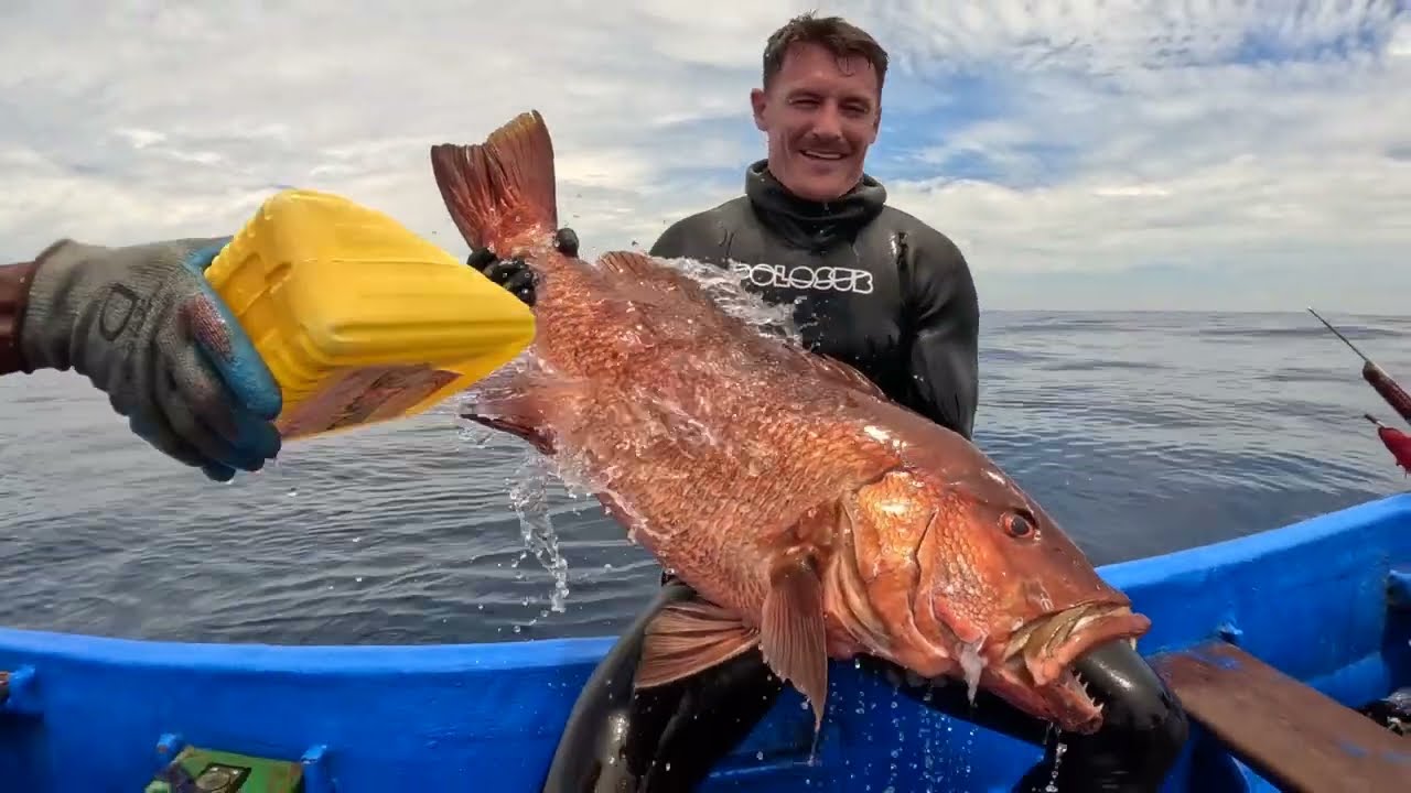 Spearfishing - Chasse sous marine au Bénin 2023