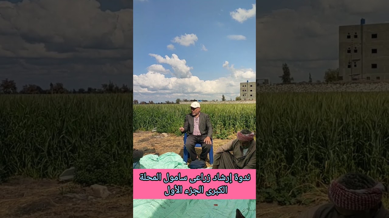 ندوة سامول المحلة الكبرى الجزء الأول 