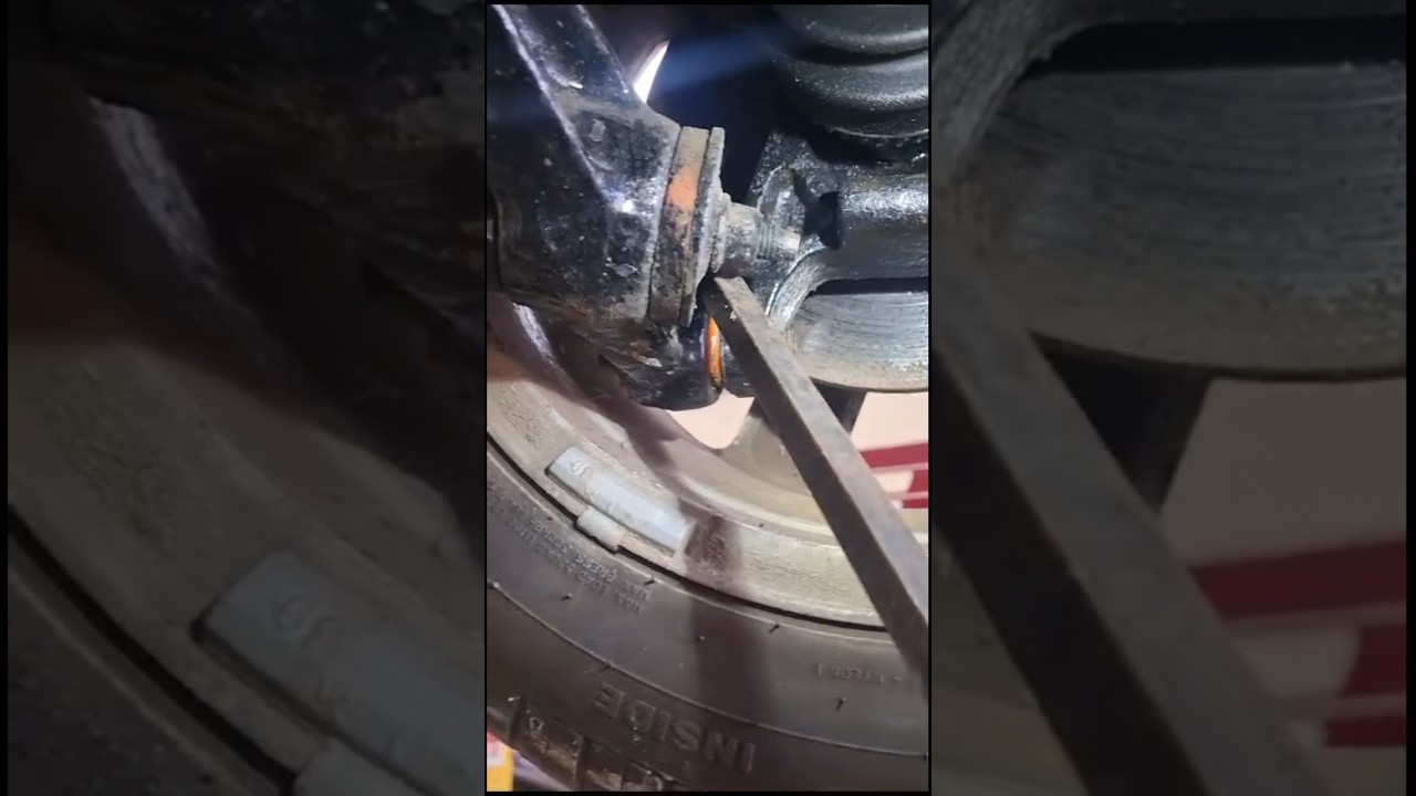 Old MG in today. This polybush wasn’t doing much.