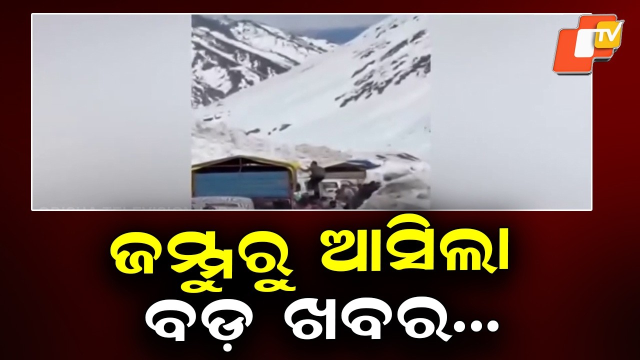 7 Dead in Massive Avalanche at Zojila Pass, Vehicles Buried on Highway