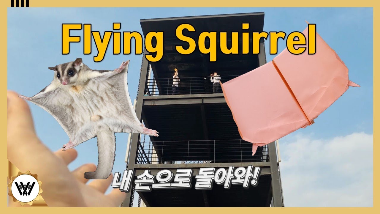 귀여운 하늘다람쥐 오래날리기 종이비행기 접기 [파종소 미르카엘]
